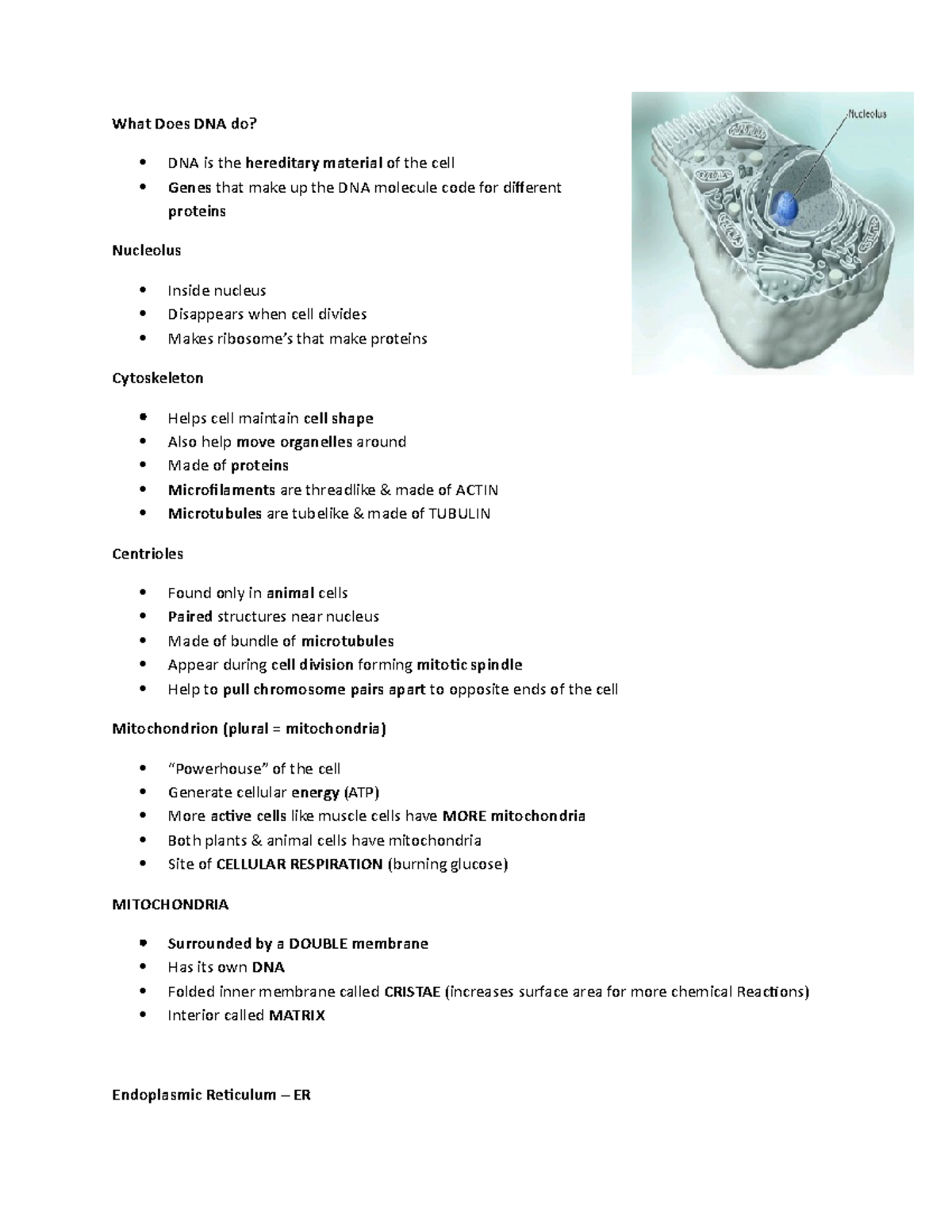 What Does DNA do Notes What Does DNA do? DNA is the hereditary