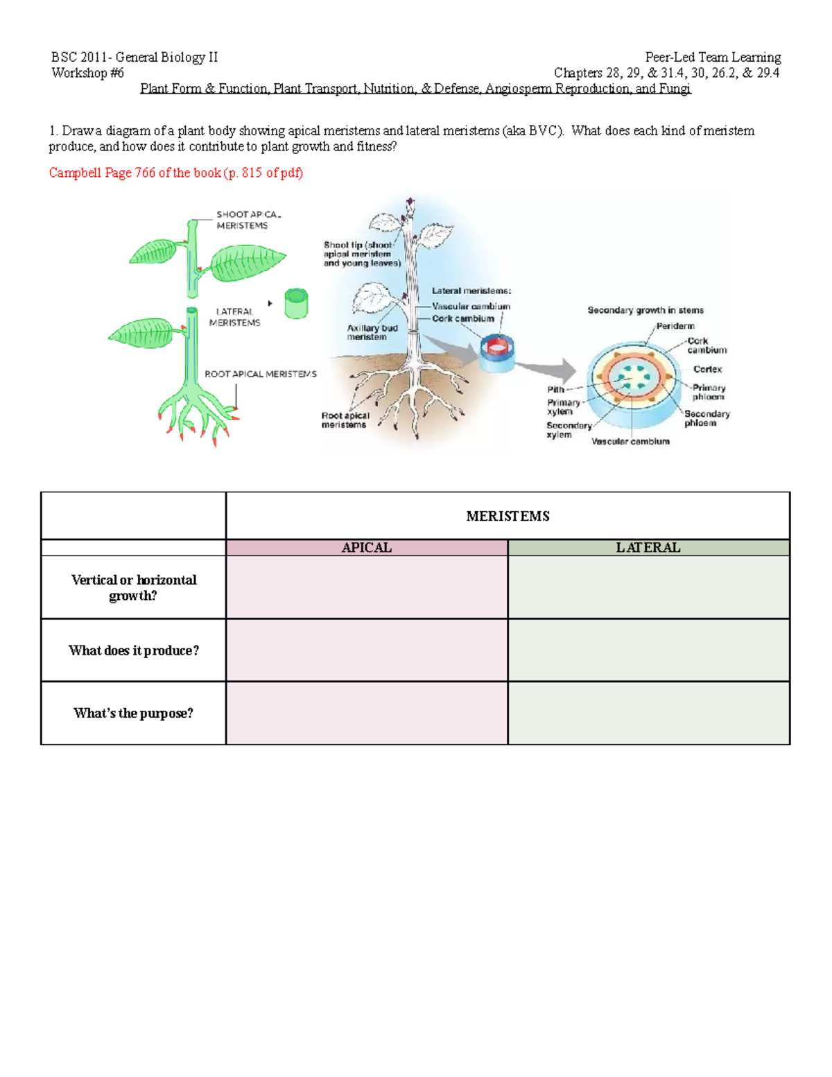 GB2 Workshop 6 Sp23 - Coursework - BSC 2011- General Biology II Peer ...