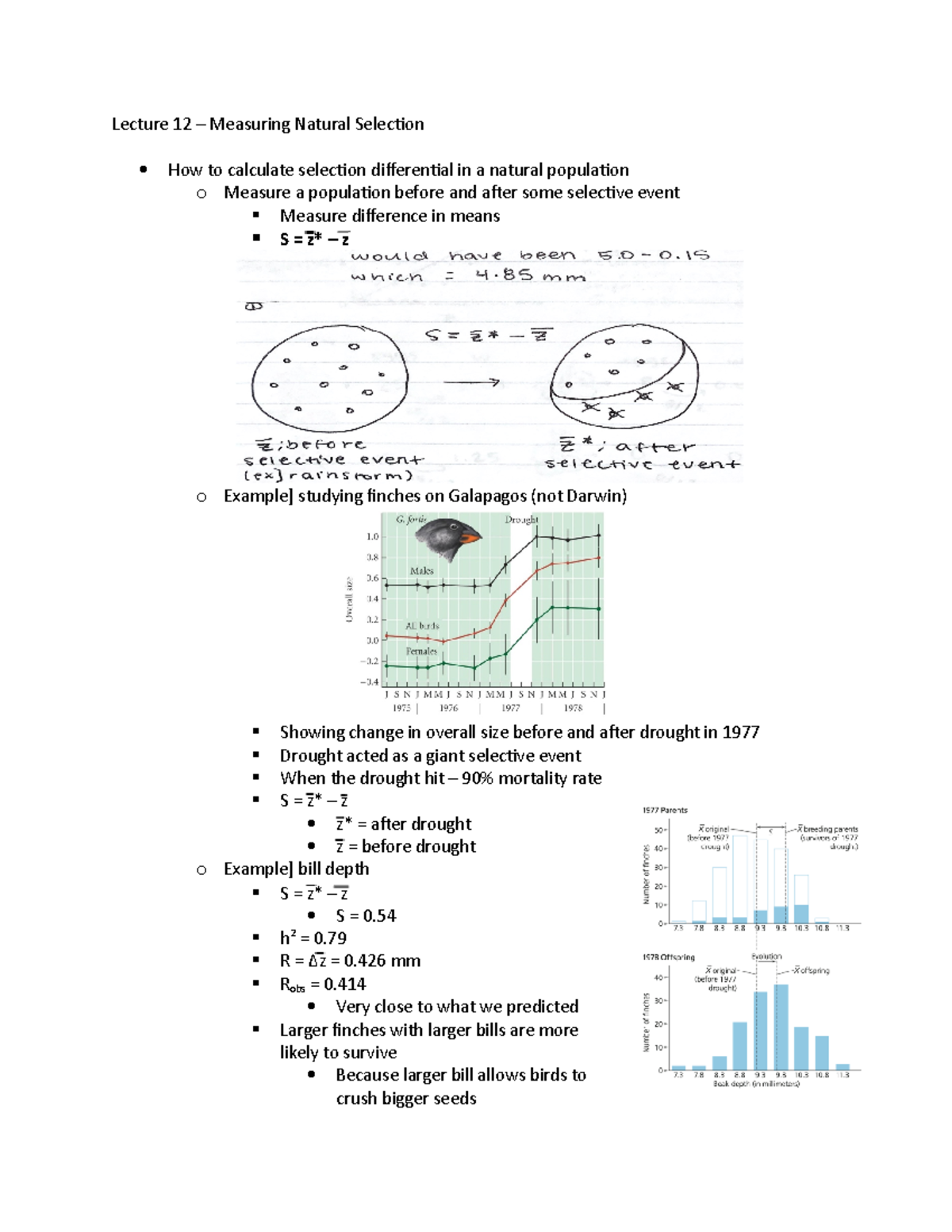 Lecture 12/13- Measuring Selection - Lecture 12 – Measuring Natural ...