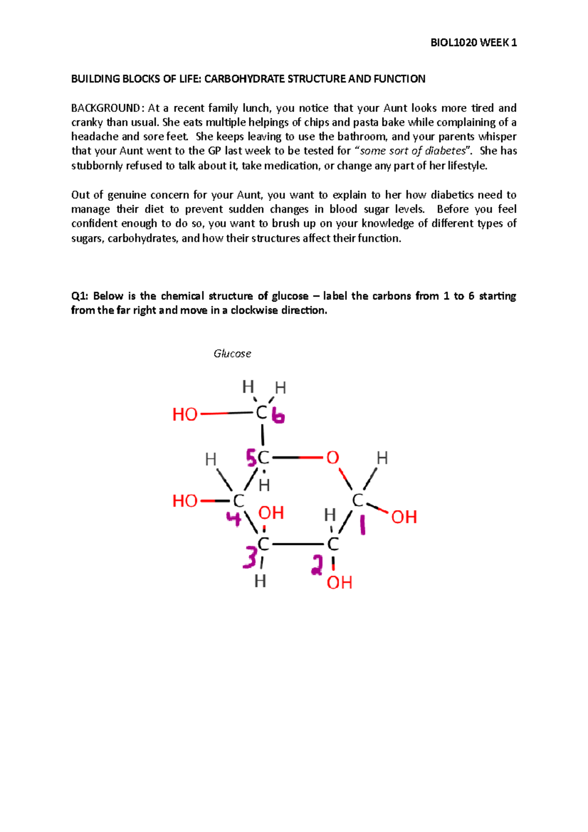 BIOL1020 week1worksheet BUILDING BLOCKS OF LIFE CARBOHYDRATE