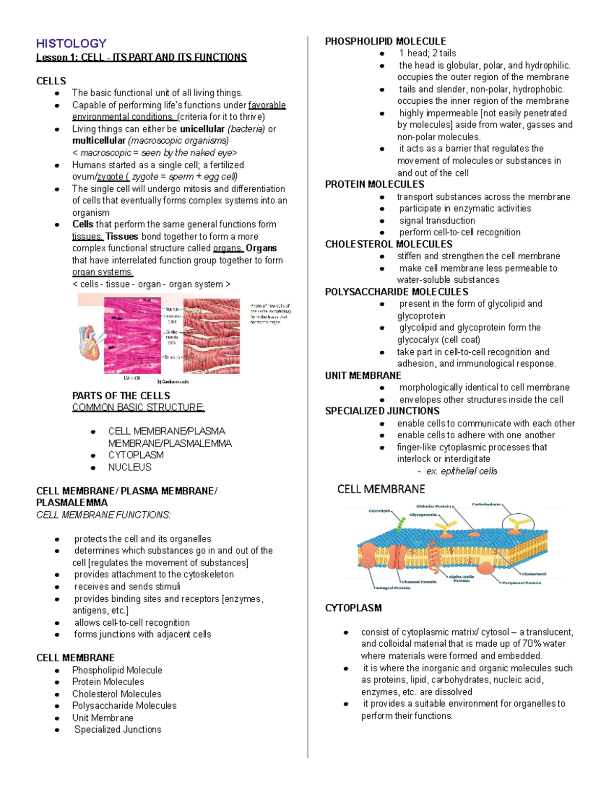 Histology Lesson 1- CELL - HISTOLOGY Lesson 1: CELL - ITS PART AND ITS ...