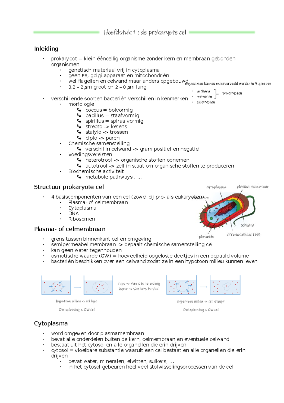 H1 prokaryote cel Inleiding prokaryoot = klein ééncellig organisme zonder kern en membraan H1 prokaryote cel Inleiding prokaryoot = klein ééncellig organisme zonder kern en membraan