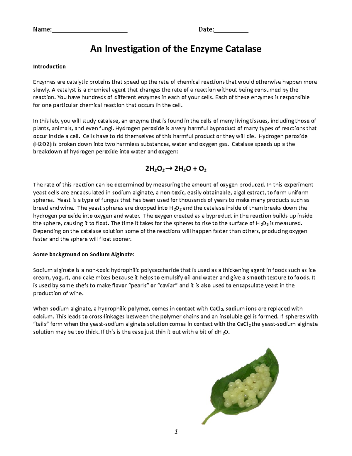 Yeast Spheres Lab Name______________________ Date__________ An