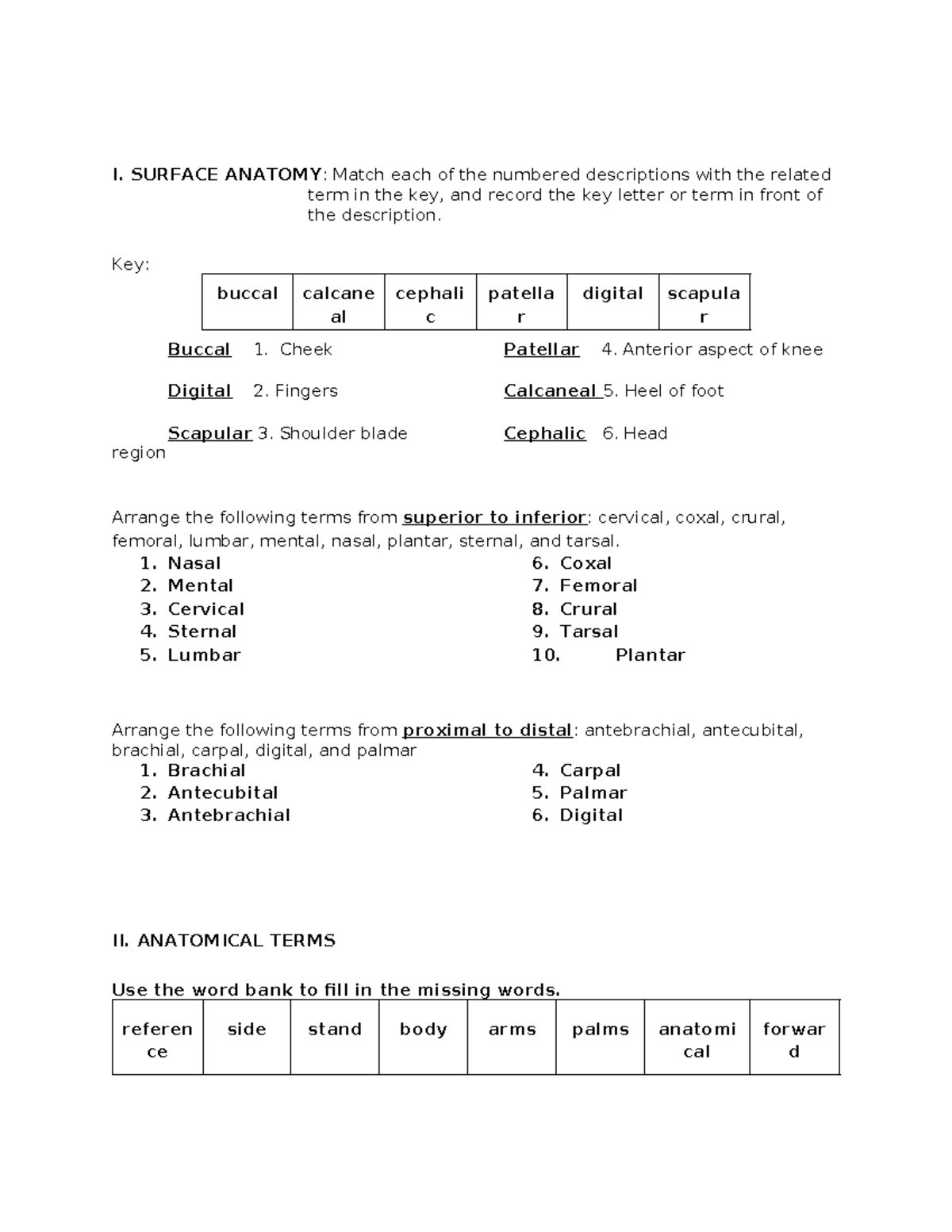 Anatomy - I. SURFACE ANATOMY: Match each of the numbered descriptions ...