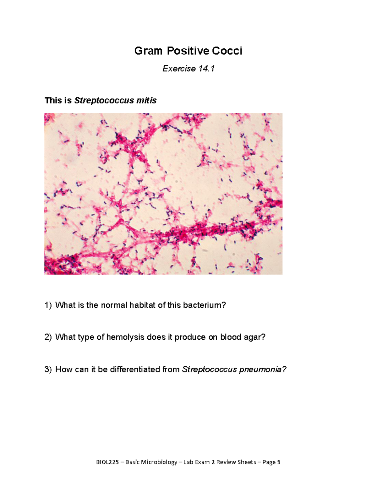 Lab Exam Review 2-BM-W14 D08da581a0406a00b0ae07e205e8436e Copy 2 ...