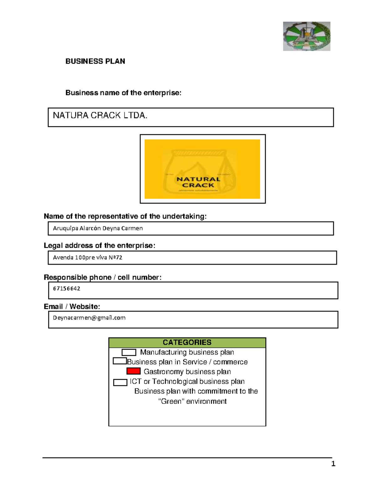 the enterprise business plan section that includes business name registration