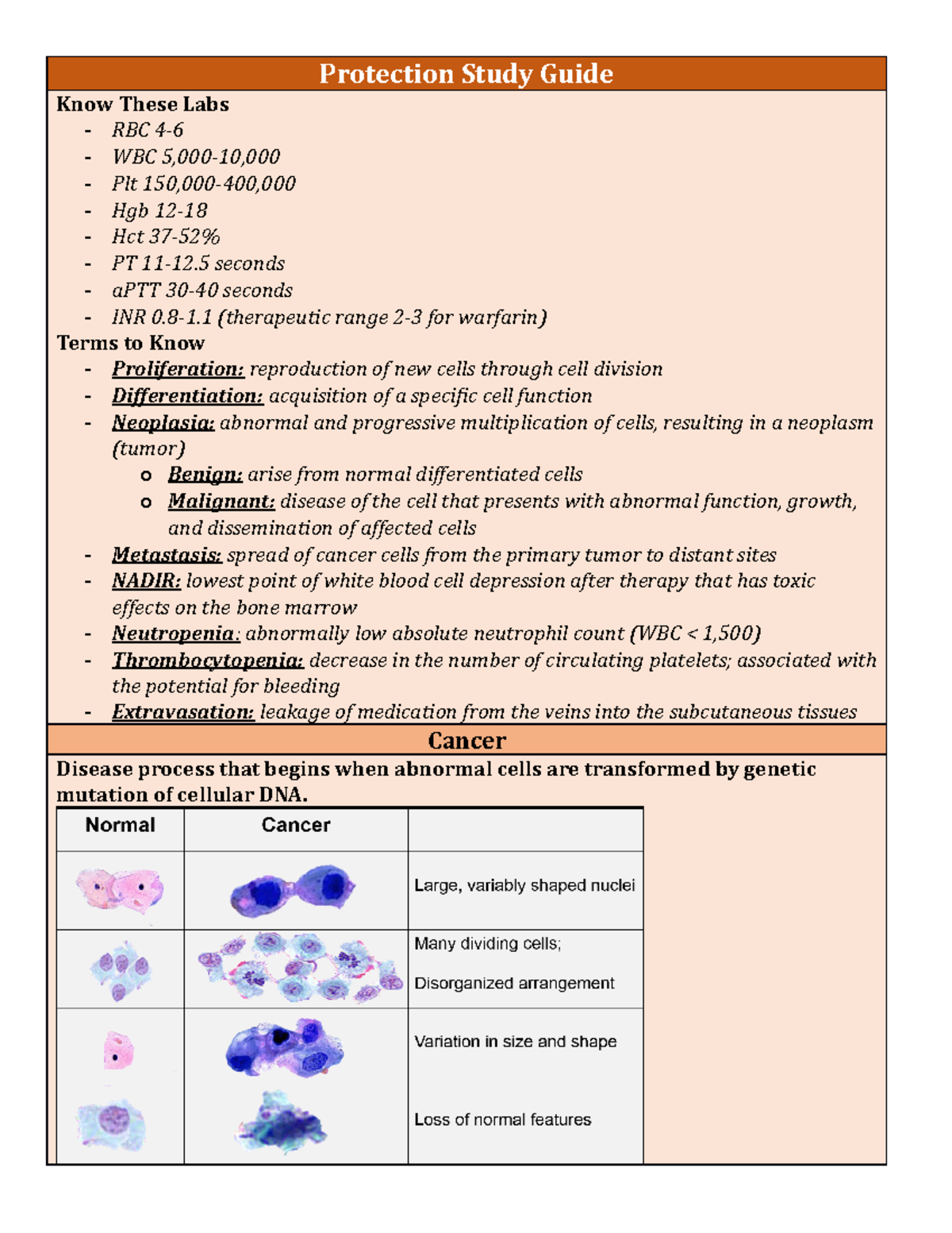 Protection Study Guide - Protection Study Guide Know These Labs - RBC 4 ...
