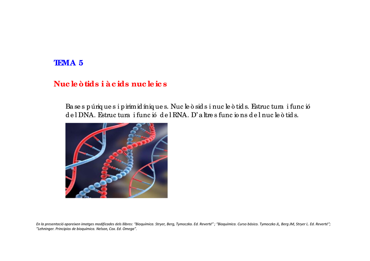 Els Acids Nucleics Bioquimica Studocu