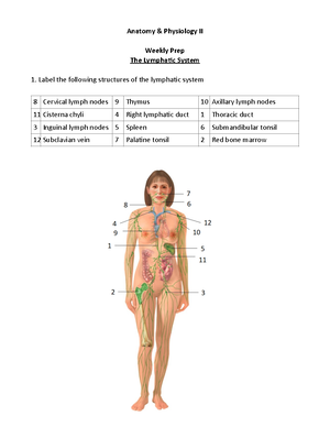 Lab Prep- Heart - notes - Anatomy & Physiology II Lab Prep Week 2 The ...