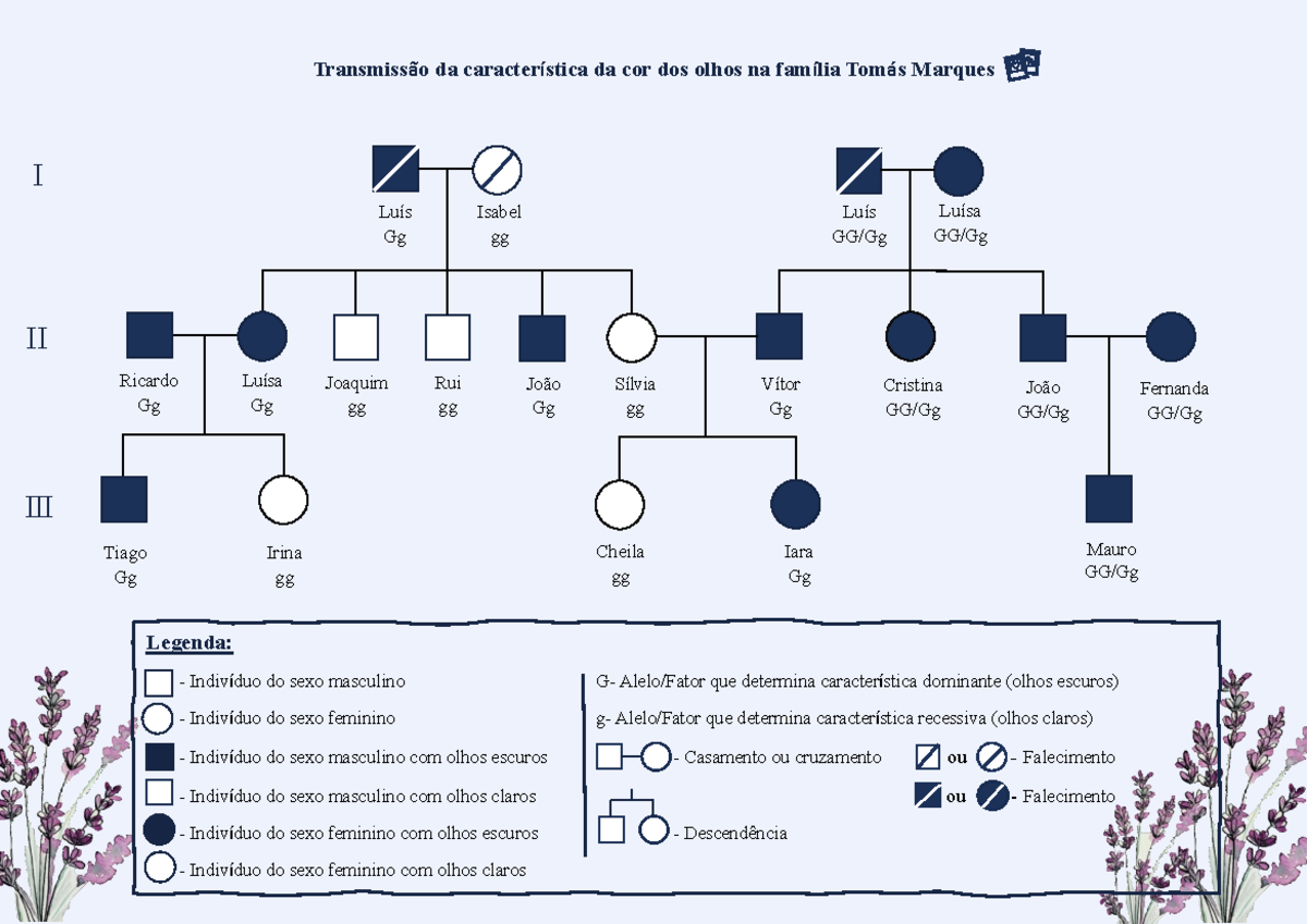 Árvore genealógica- Bio - Transmissão da característica da cor dos ...