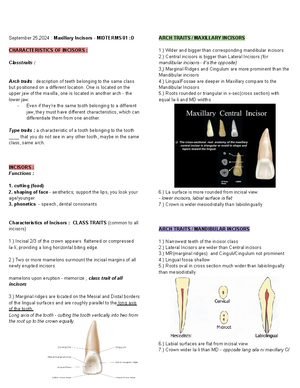 Oral ana - anatomical landmark - Anatomical Landmark : Module 12 Prelim ...
