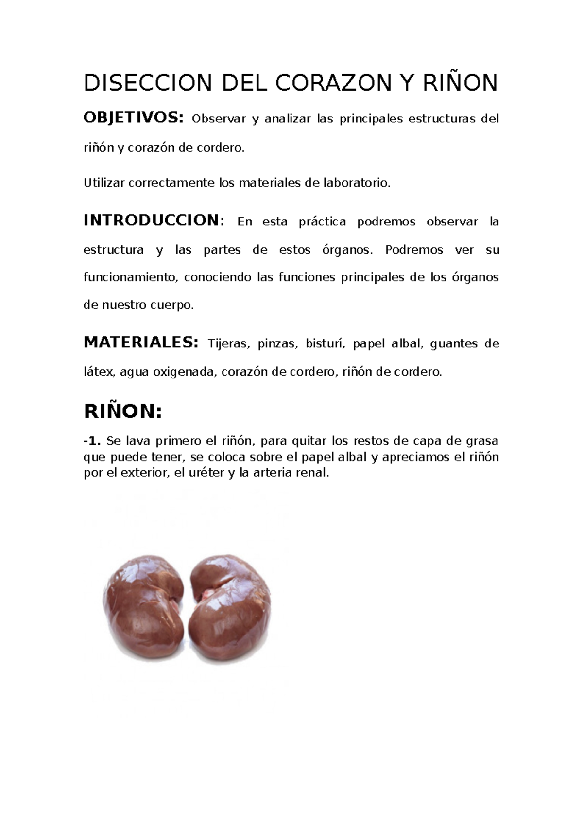 Diseccion DEL Corazon Y Riñon - DISECCION DEL CORAZON Y RIÑON OBJETIVOS ...