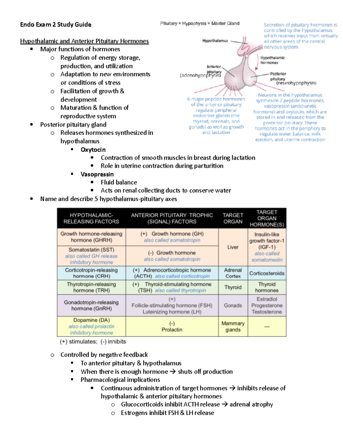 Endo Exam 2 Study Guide - Endo Exam 2 Study Guide Hypothalamic and ...