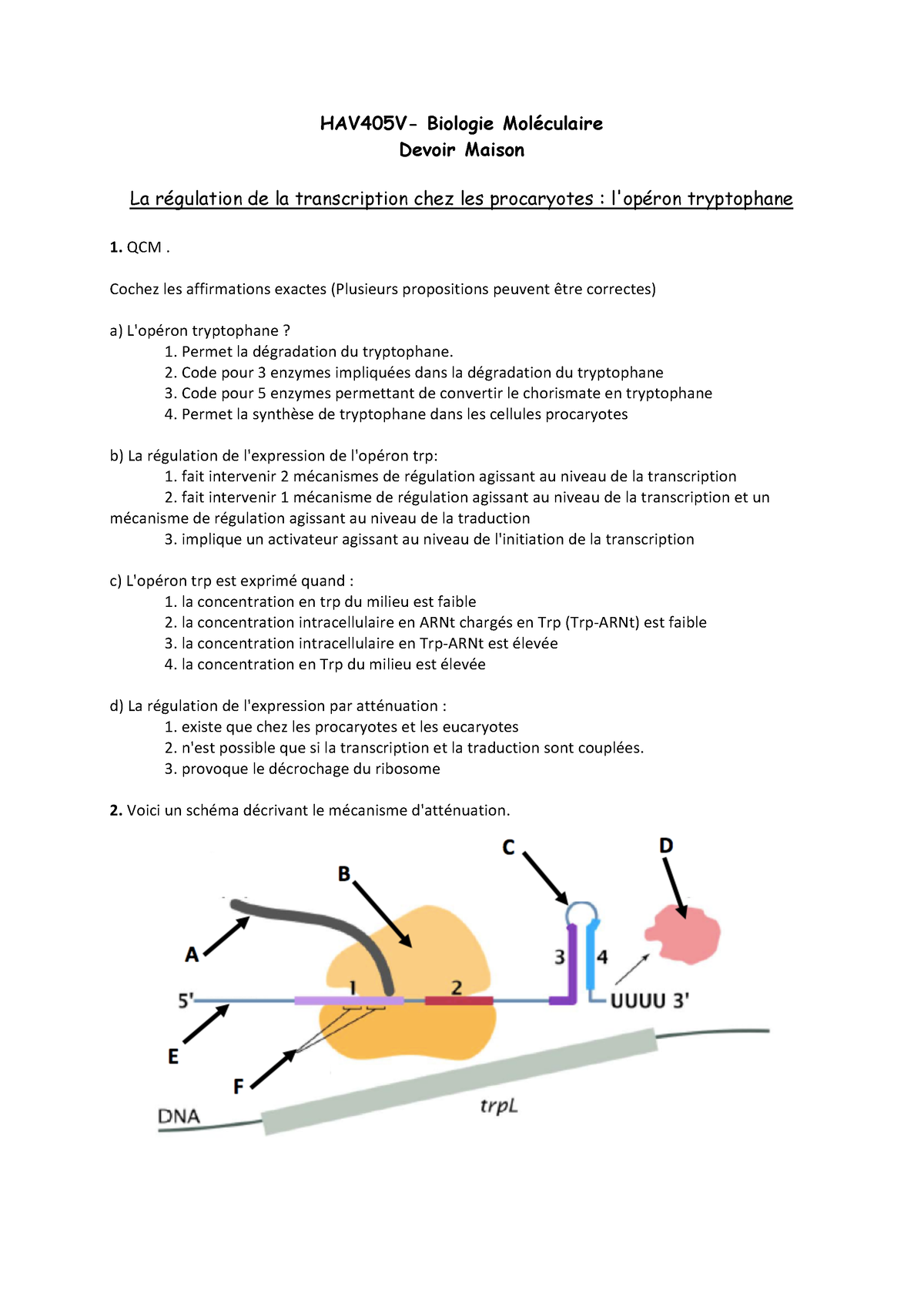 Devoir Maison Bio Mol Hav V Hav V Biologie Mol Culaire Devoir Maison La R Gulation De La