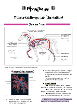Digestório de Ruminantes HISTOLOGIA - Histologia Sistema digestório ...
