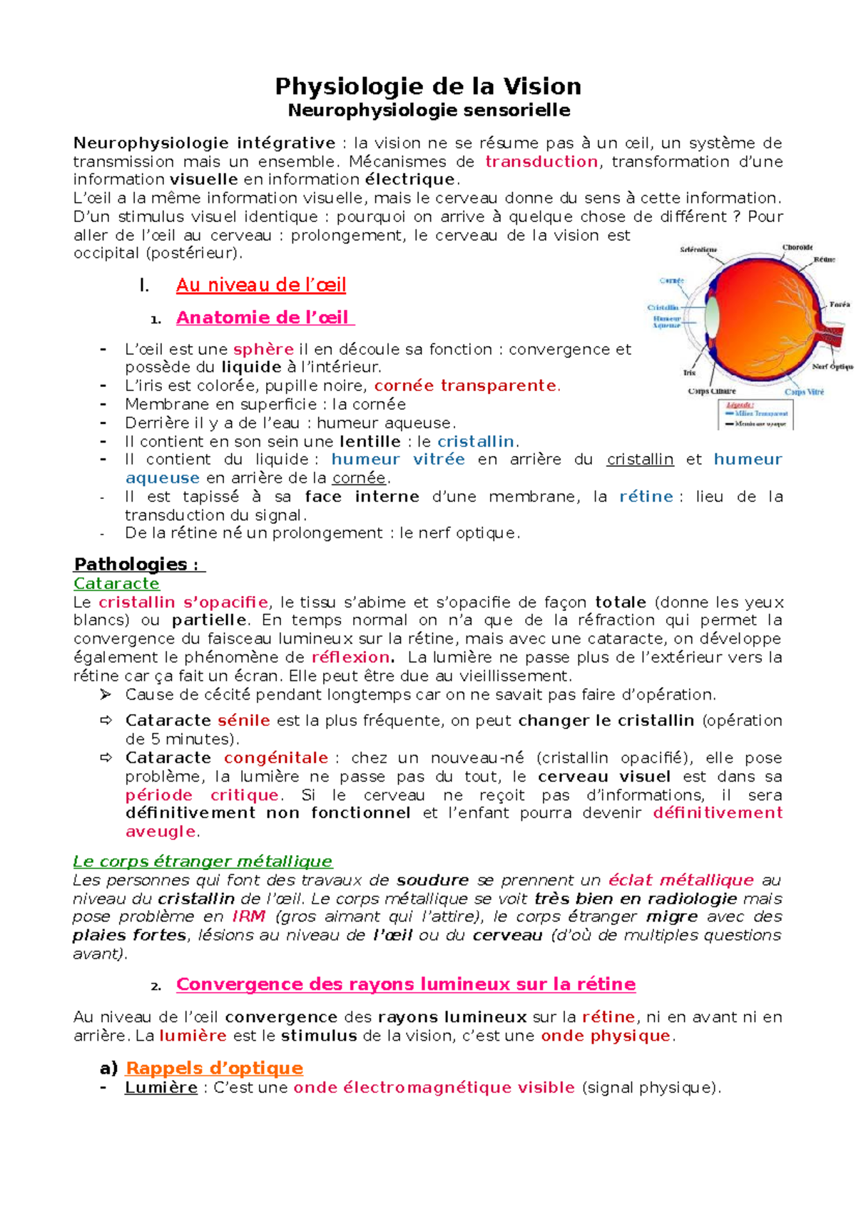 Neurophysiologie De La Vision La Vision RUWKHS