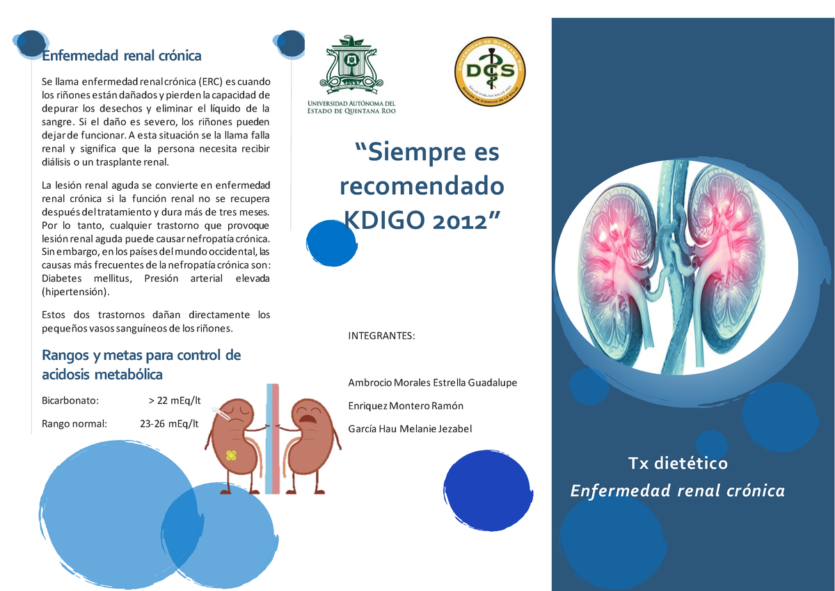 Triptico Erc Tratamiento Dietético De La Enfermedad Renal Crónica Enfermedad Renal Crónica 6798