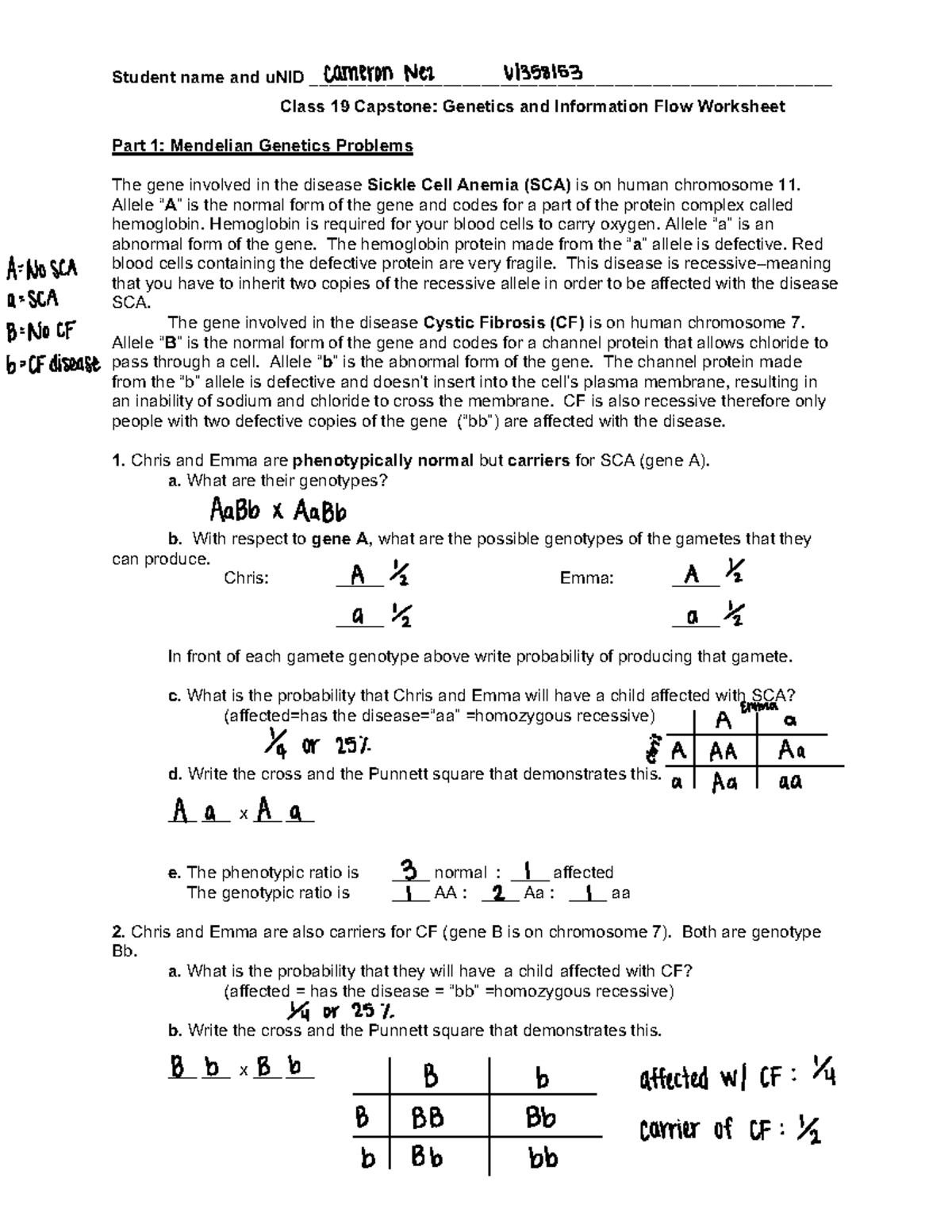 Class+19+Captsone+worksheet+ver2 - Student name and uNID - Studocu