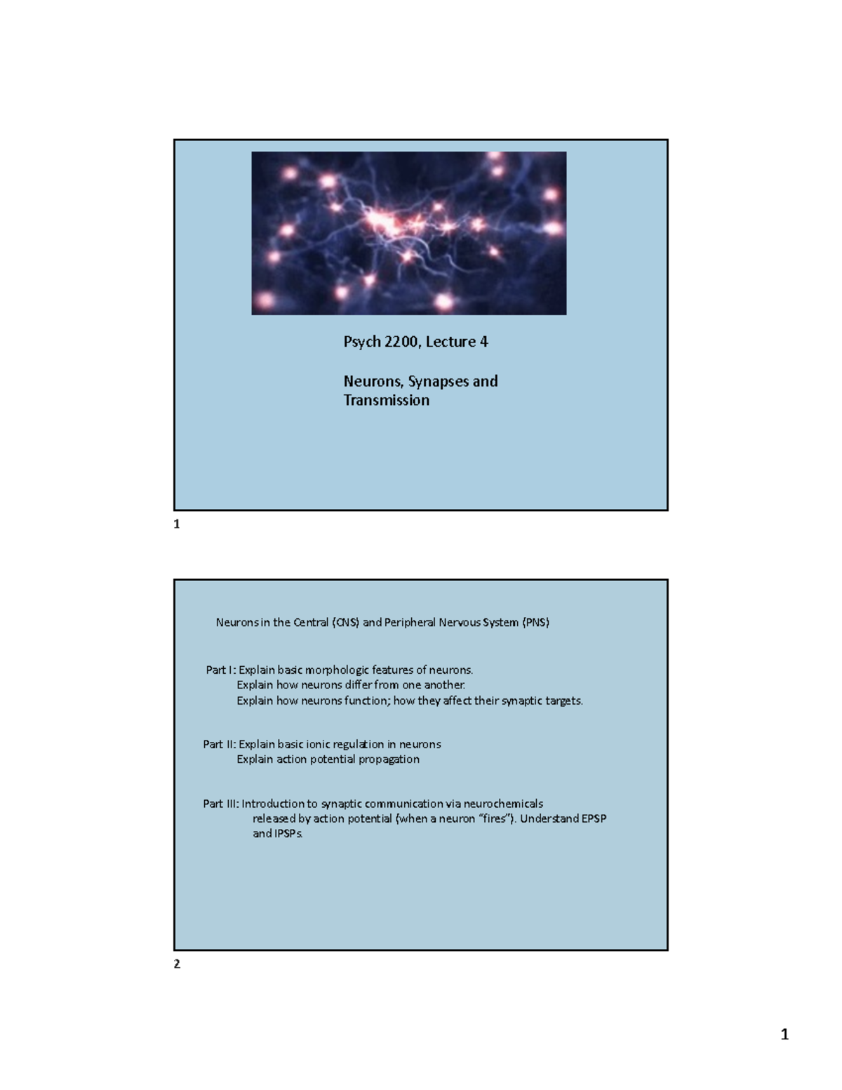 4 - Neurons - Psych 2200, Lecture 4 Neurons, Synapses and Transmission ...