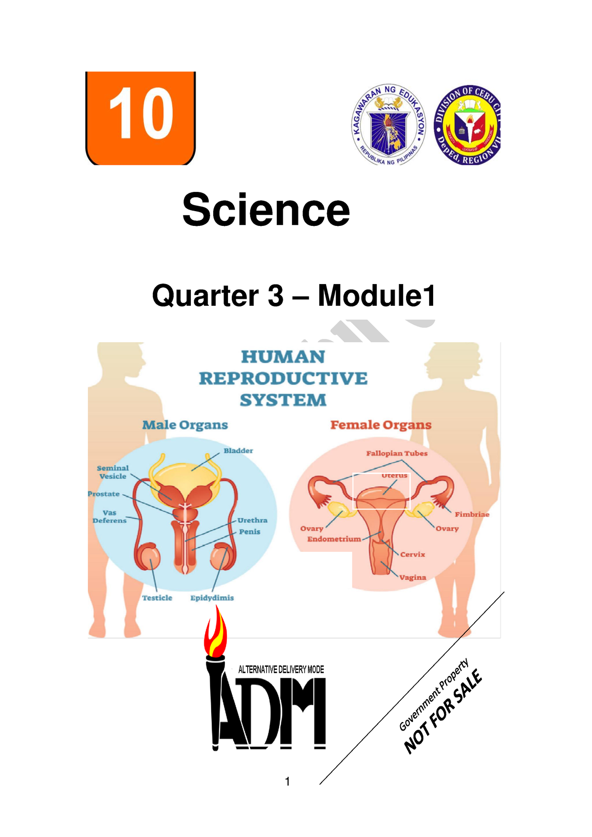 Science G10 Q3 Module 1 Science Quarter 3 Module Quarter 3 Module 1 Male And Female