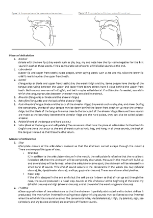 VC summary week10 - Vowels and Consonants - Introduction to Phonetics ...