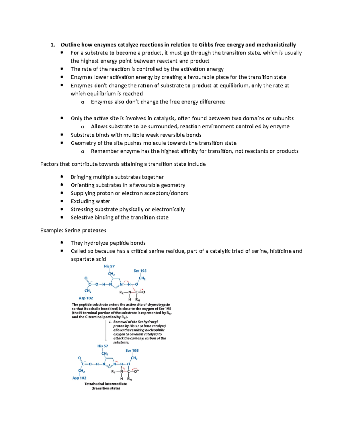 Topic 5 enzymes and catalysts - Biochemistry 2280A - UWO - Studocu