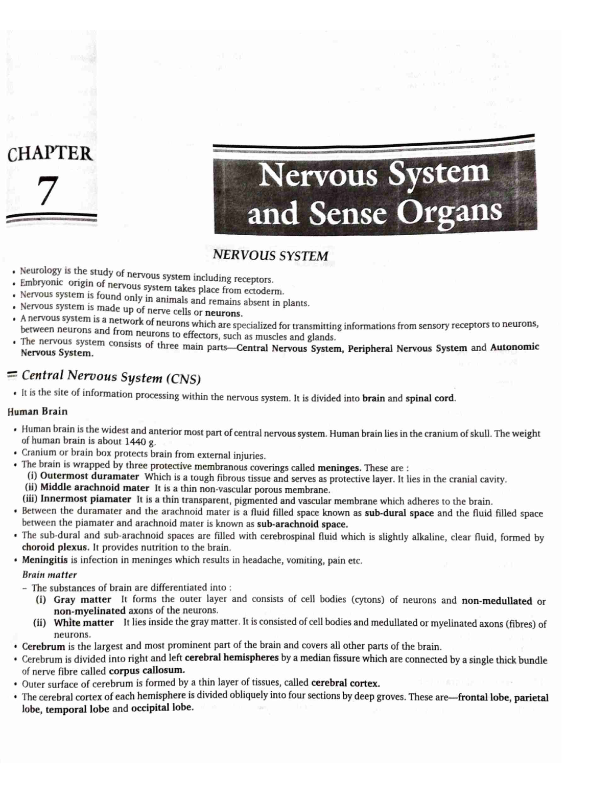 Nervous System Biology - B.Pharmacy - Studocu