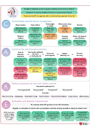DOAC - Details of AF - DOACs rather than VKA are recommended in ...