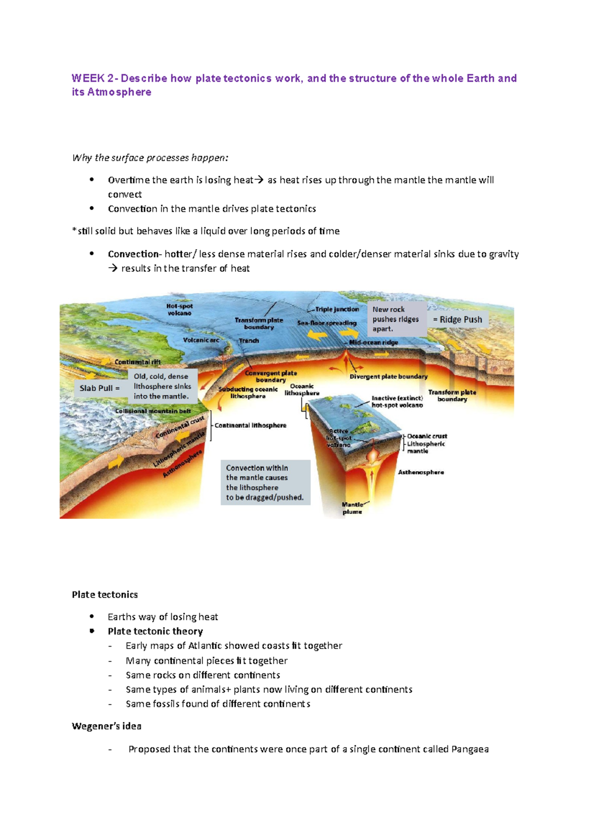 EAE1011 week 2 notes WEEK 2 Describe how plate tectonics work, and