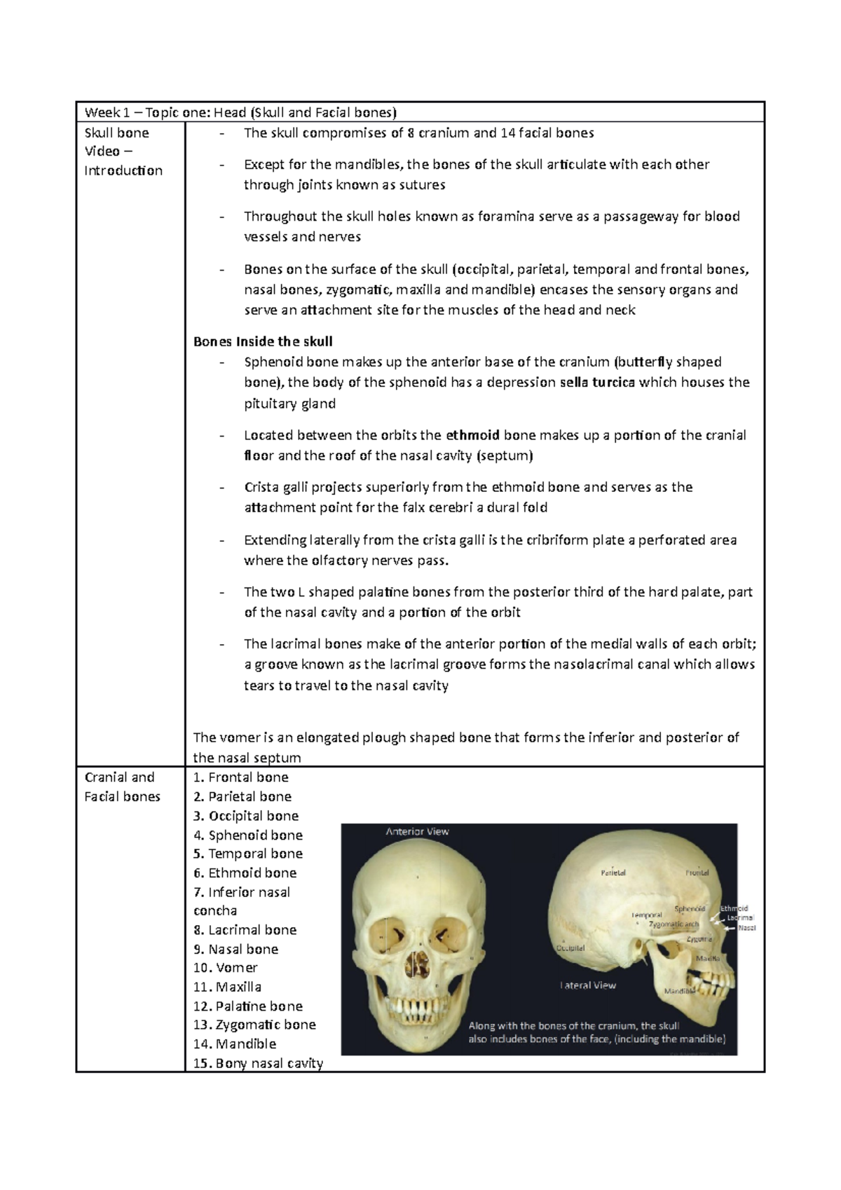 Human Anatomy 201 (Gross and Sectional) Lecture Notes - Week 1 – Topic ...