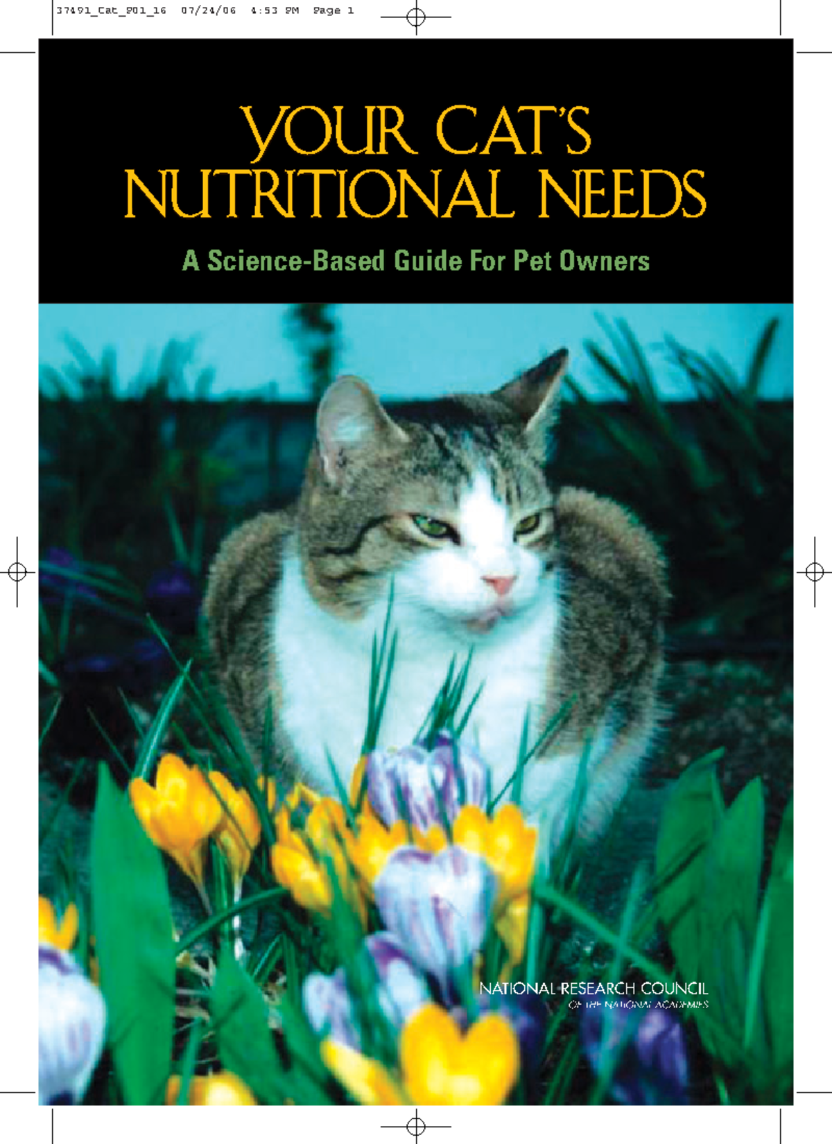 Cat nutrition final - wwwwwwwwwwwwwwwwww - YOUR CAT’S NUTRITIONAL NEEDS ...