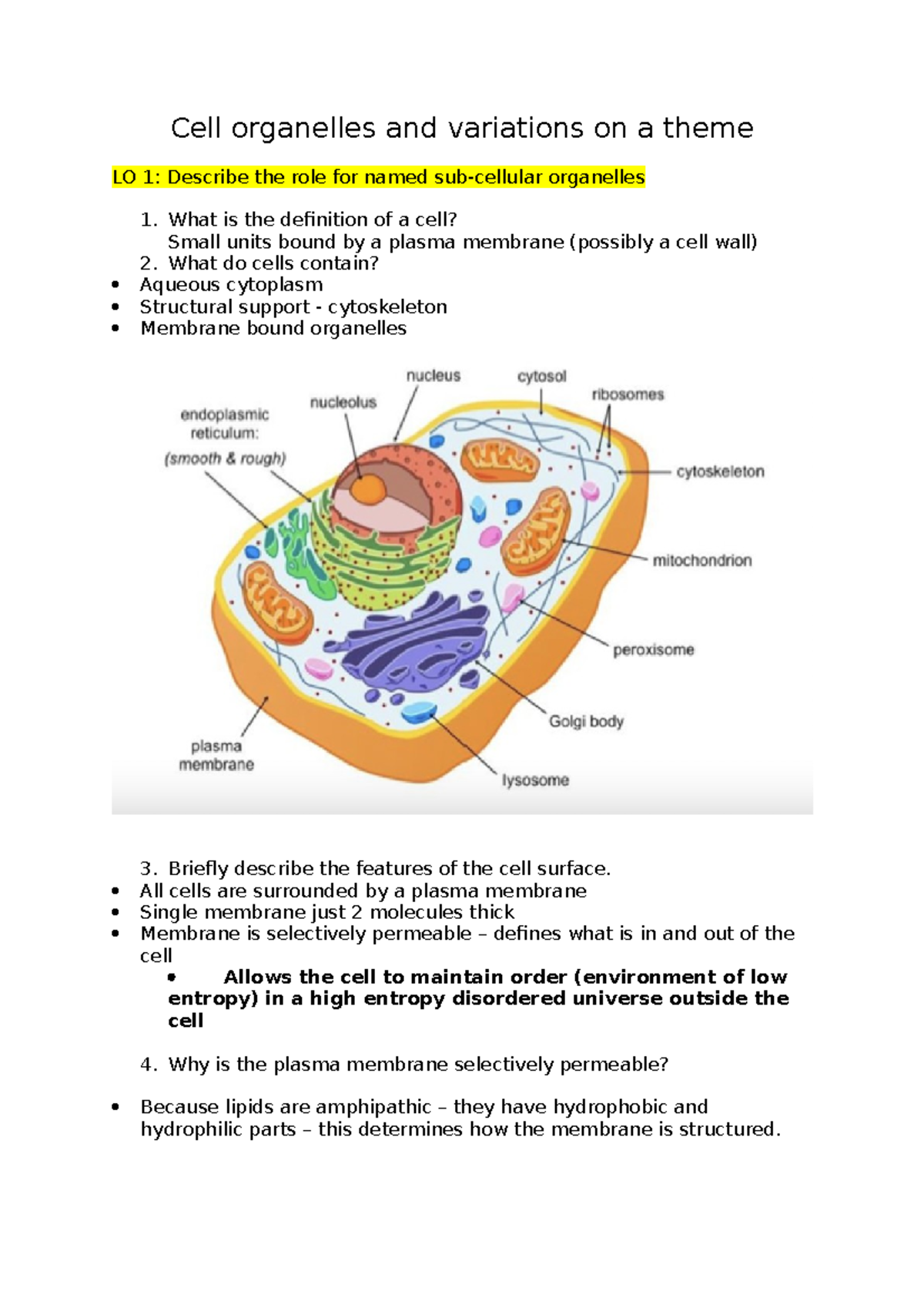 Complete W3 - Cell organelles BMD116 CELLS QMUL - Cell organelles and ...