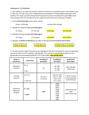 Genetics Exam 2 Study Guide - Genetics Exam 2 Study Guide 1 ...