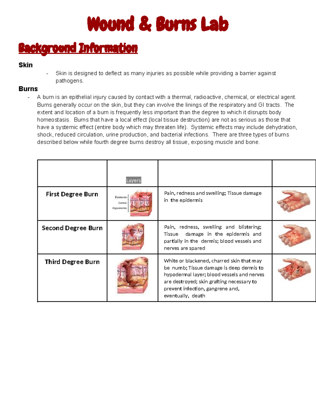 Copy of Wound Lab Packet Wound & Burns Lab Background Information