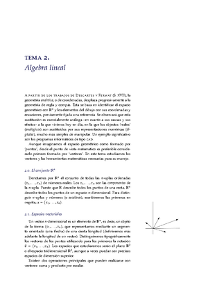 Tema4 - Resumen Del Tema 4 - Tema 4. Transformaciones Geométricas En ...