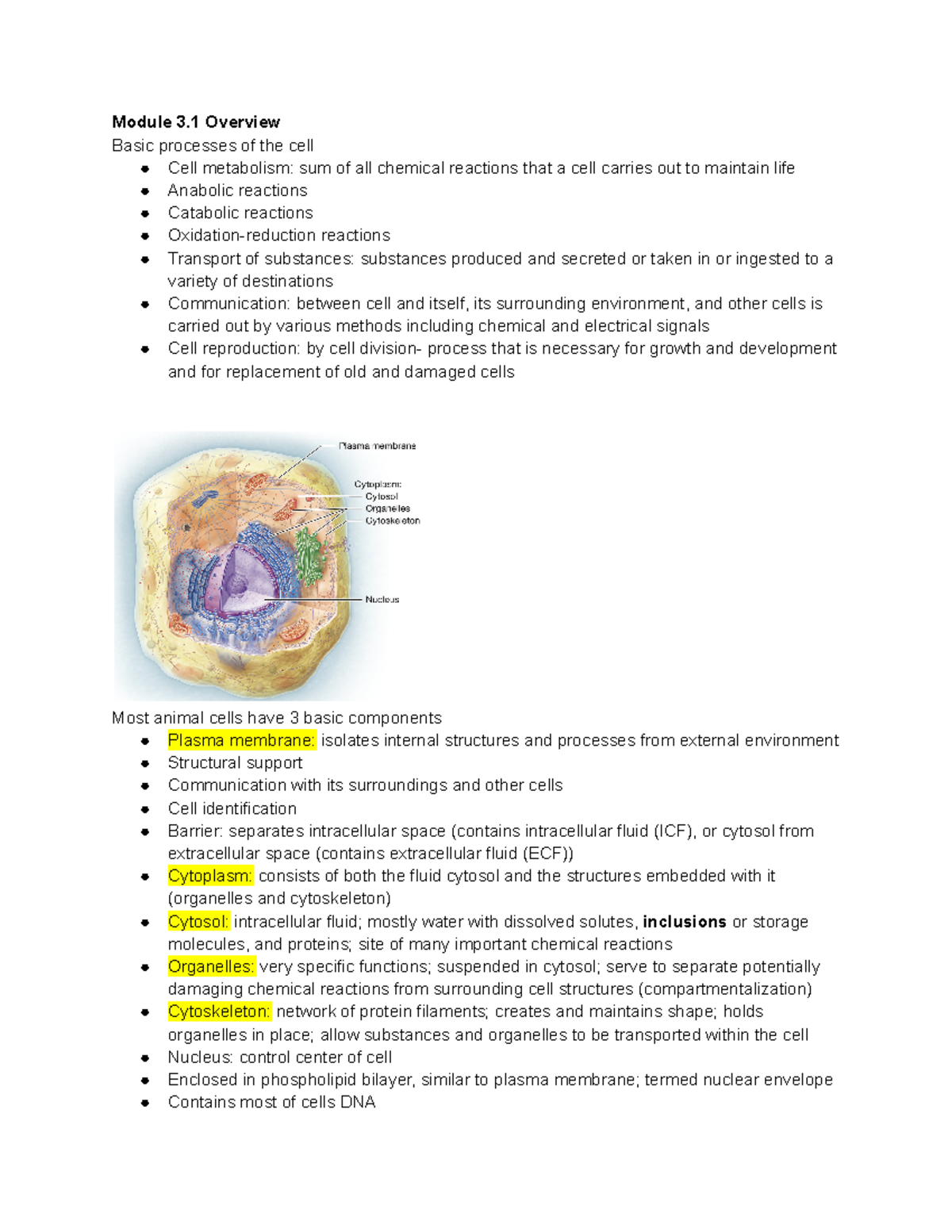 Chapter 3 The Cell - William Hedderson - Module 3 Overview Basic ...