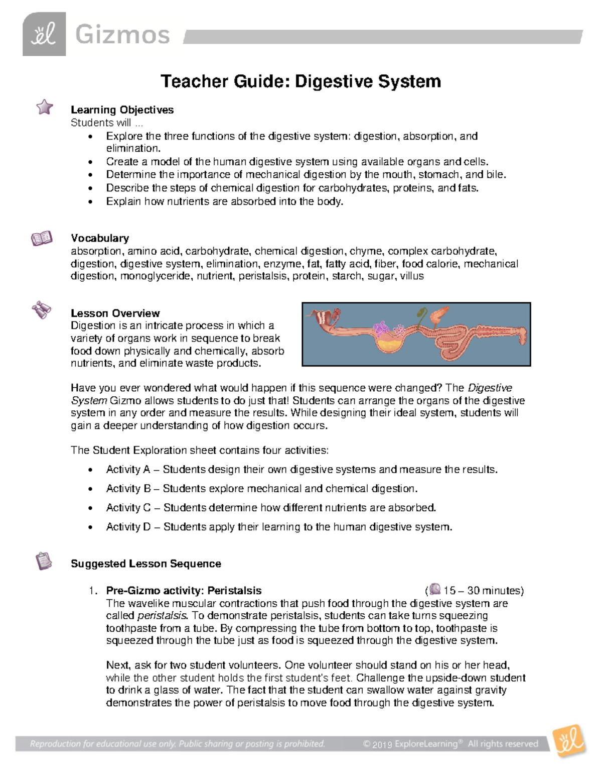 Digestive System TG - Teacher Guide: Digestive System Learning ...