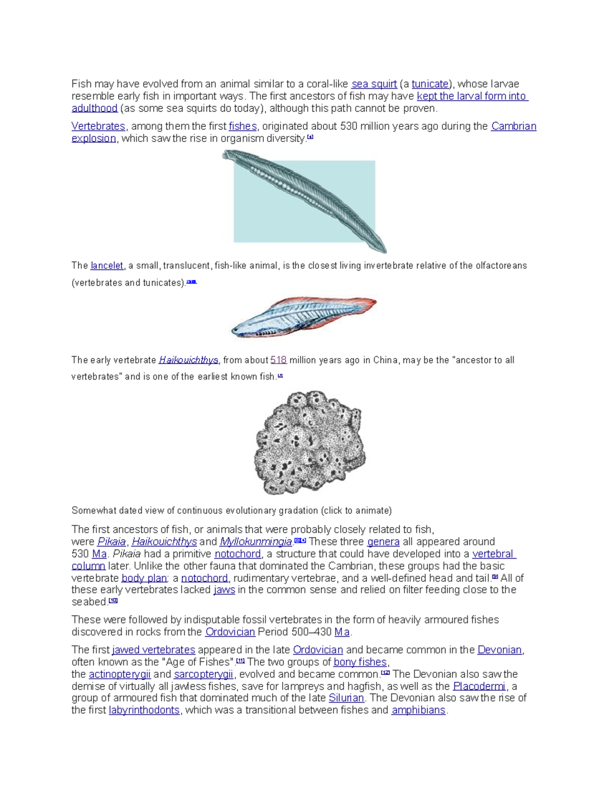 Fish may have evolved from an animal similar to a coral - The first ...
