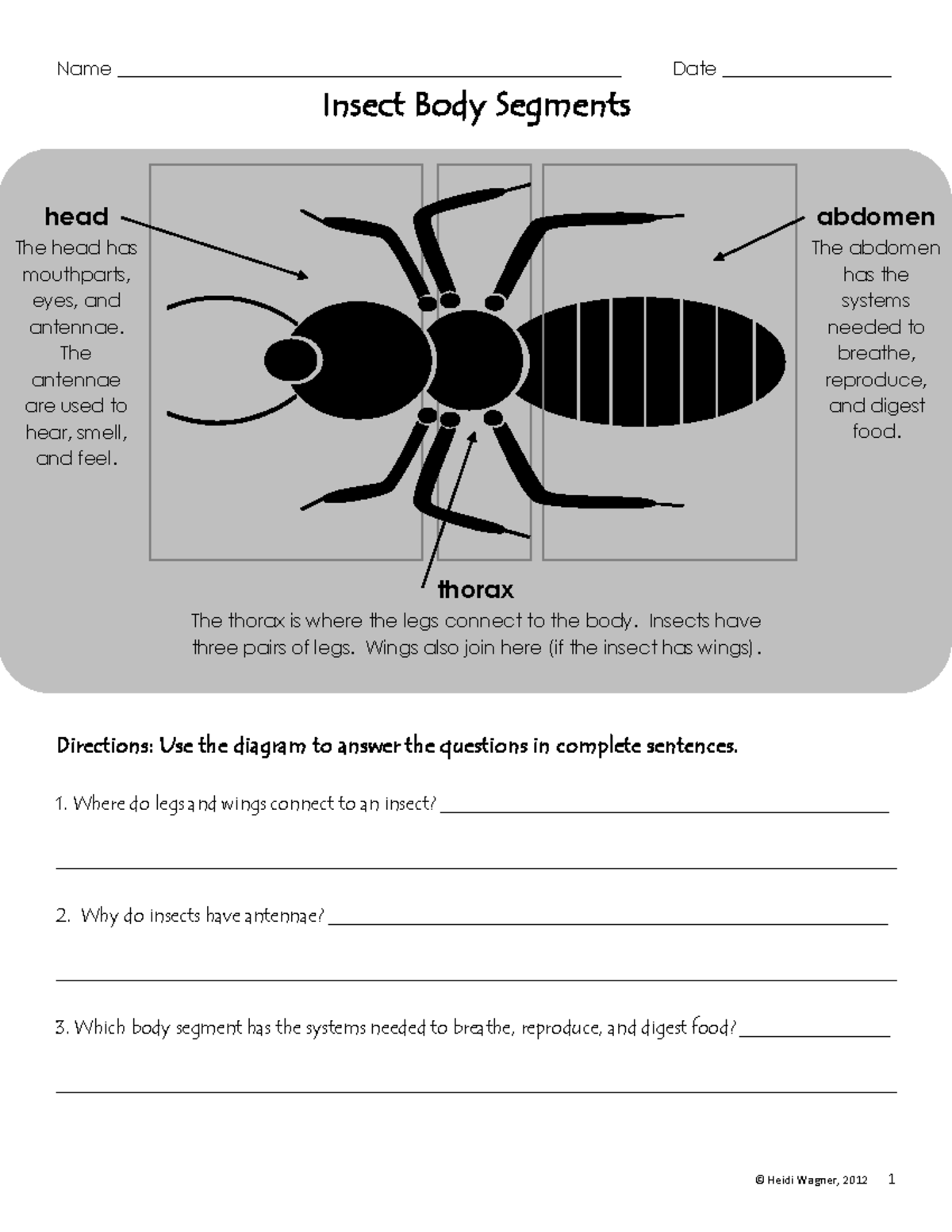 insect-body-parts-diagram-worksheet-1-heidi-wagner-2012-1-name