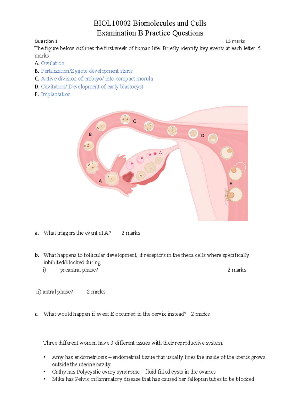 BIOL10002 Practice Exam B - BIOL10002 Biomolecules And Cells ...