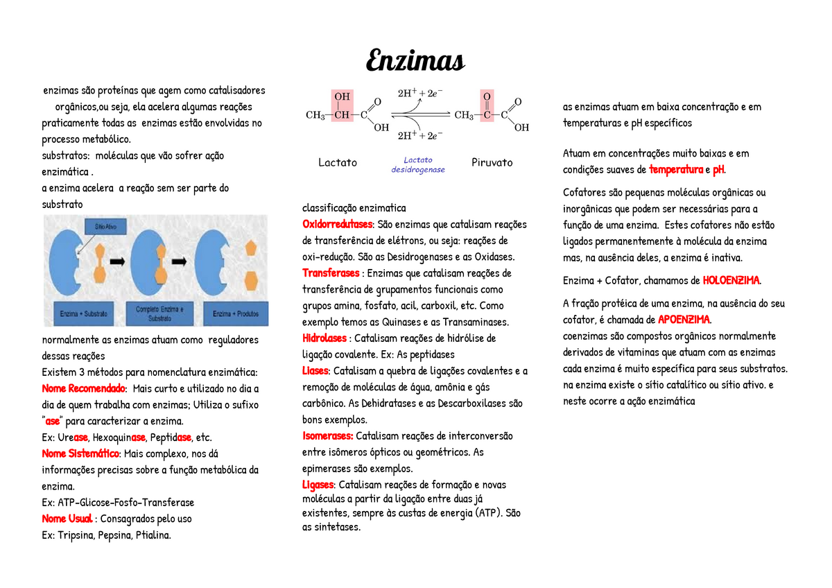 Resumo De Bioquímica De Enzimas Enzimas Enzimas São Proteínas Que