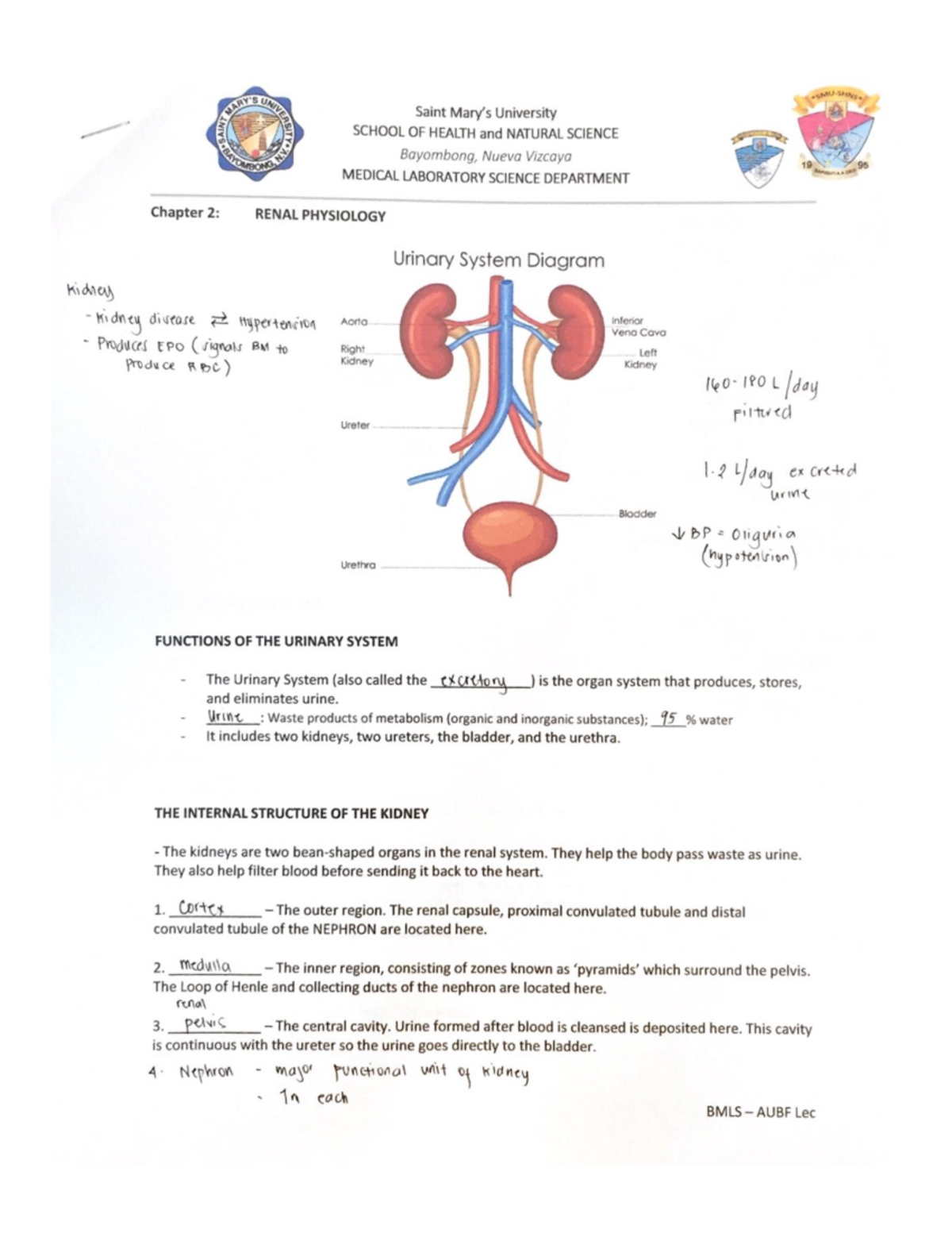 Renal-Physiology - Module - MedTech - Studocu