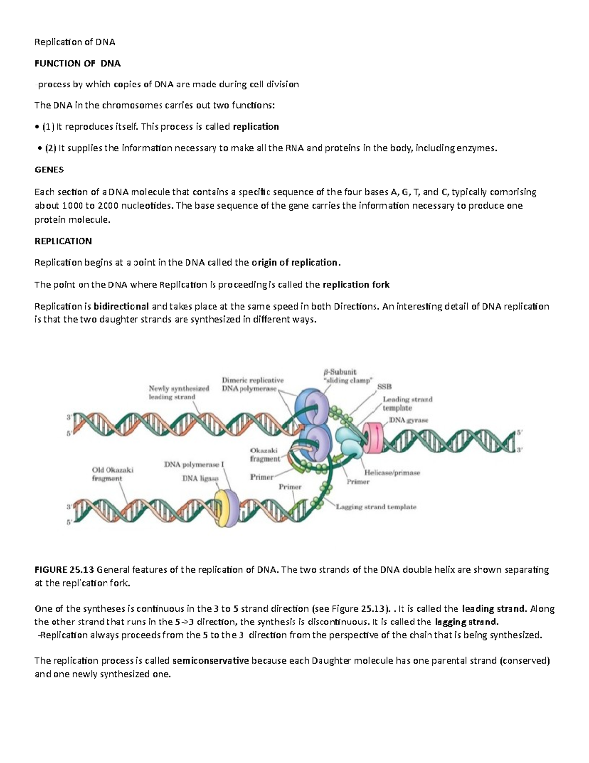 How Is DNA Replicated What are the advantages and disadvantages of