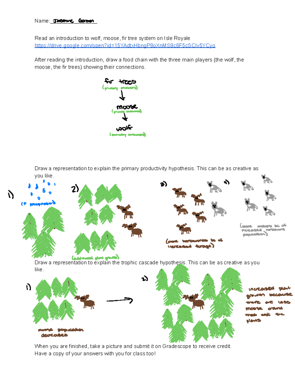 Wolf Moose Fir Tree Pre Reading Name