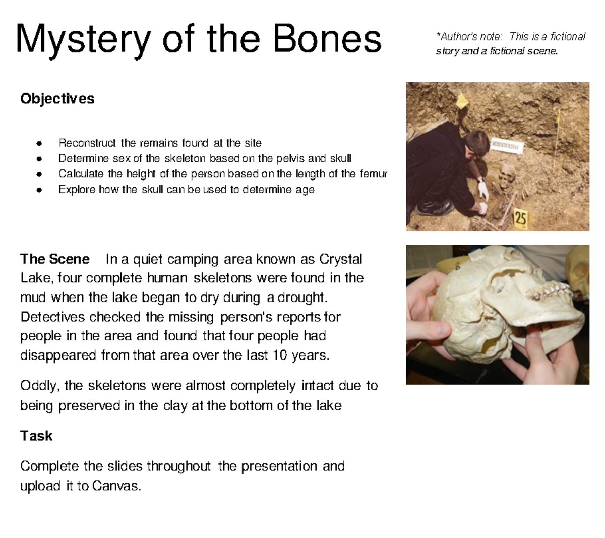 Mystery of the Bones (Remote Version) (1) 1 Mystery of the Bones