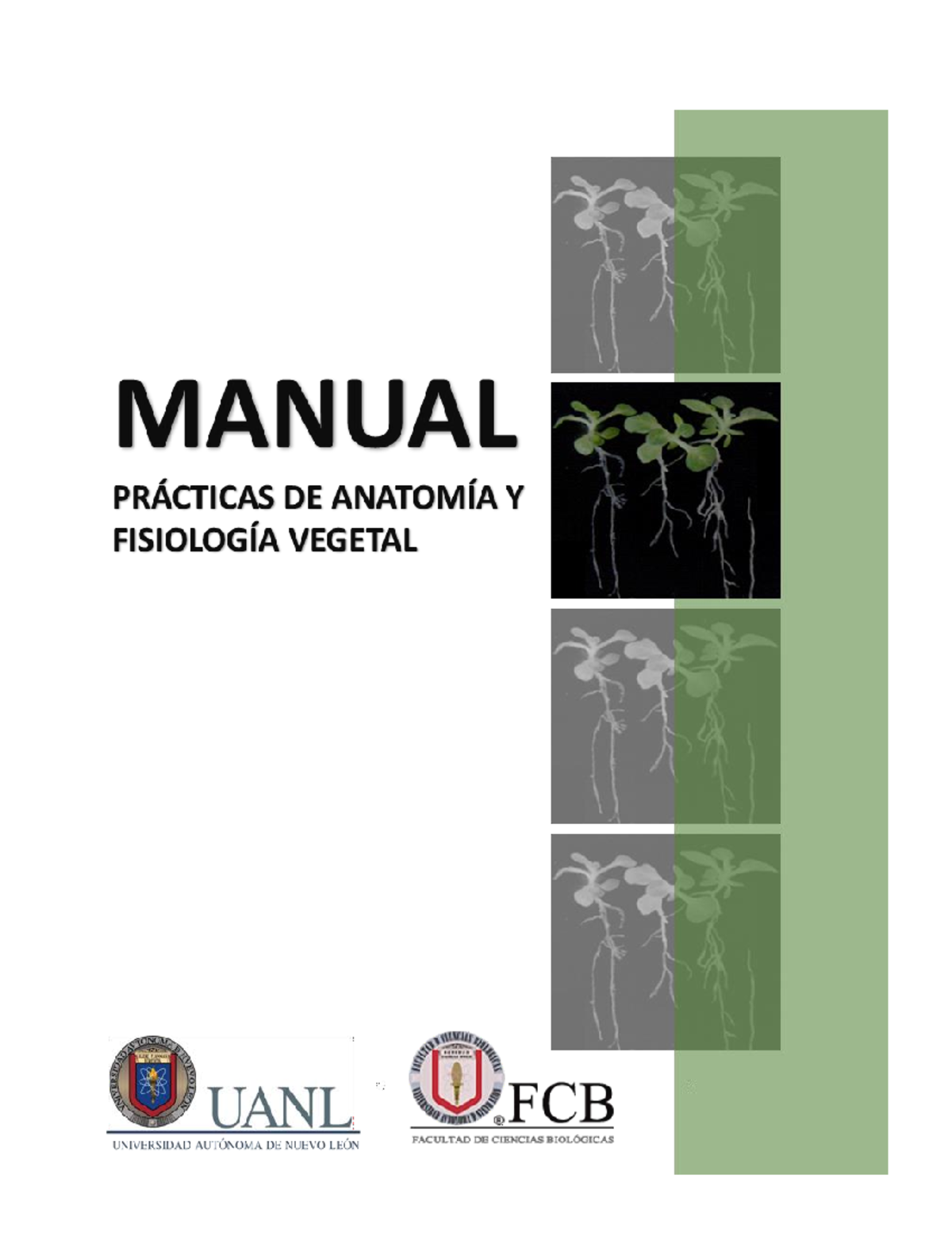 Manual Practicas UA Ay FV - 2 MANUAL DE PRÁCTICAS UA ANATOMÍA Y ...