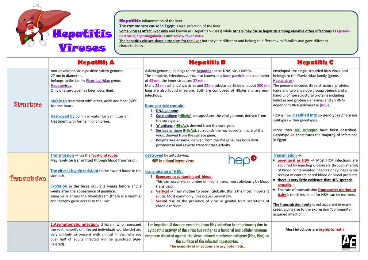 Hepatitis - cardiovascular course - Studocu