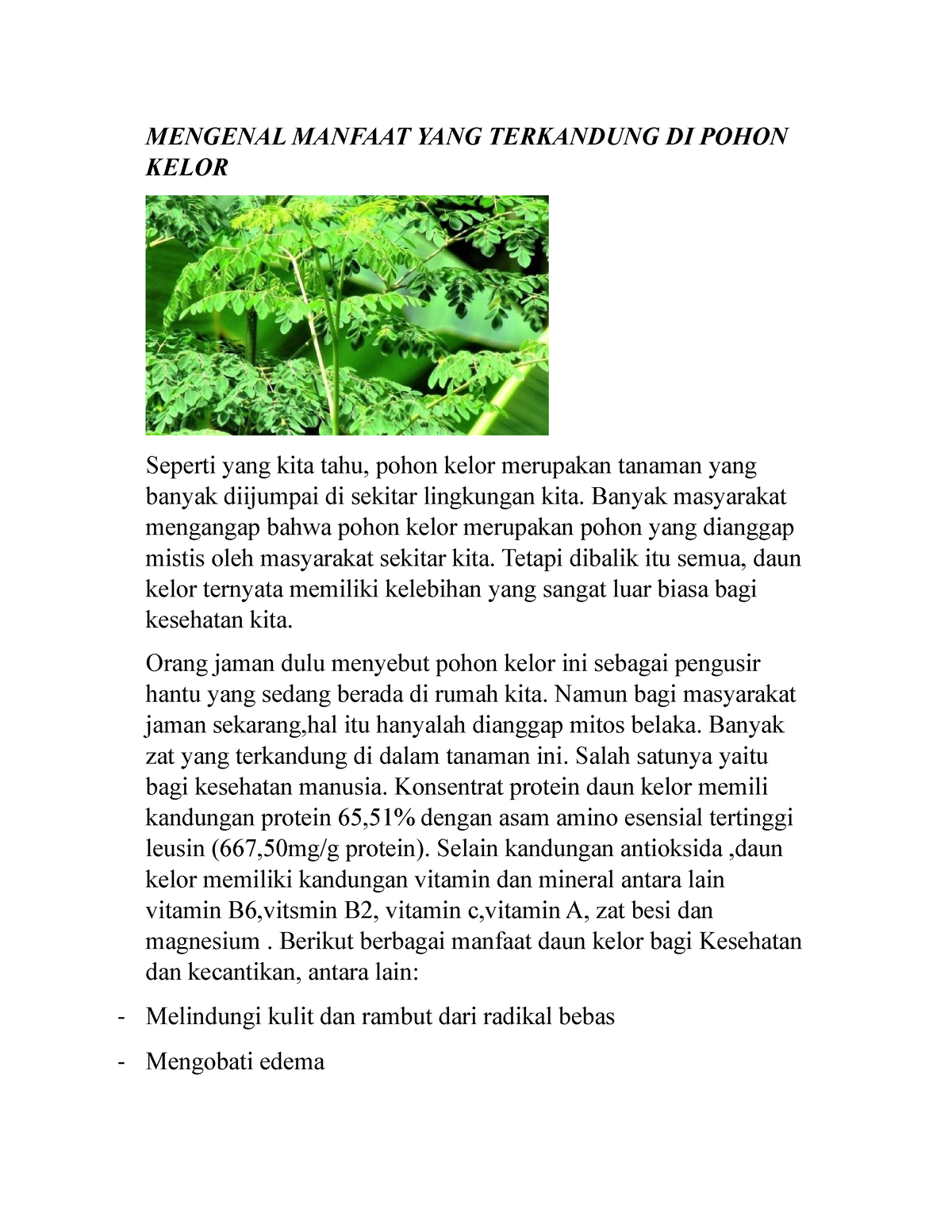 Daun Kelor Untuk Kesehatan - MENGENAL MANFAAT YANG TERKANDUNG DI POHON ...