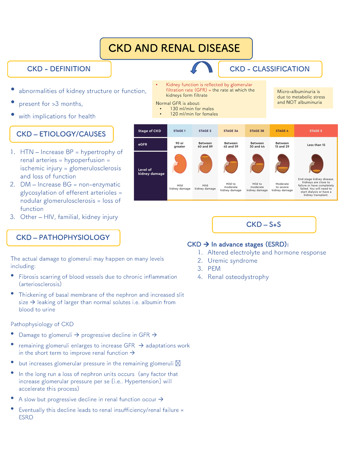 summary-ckd-describe-ckd-pathophysiology-as-well-as-mnt-thereof