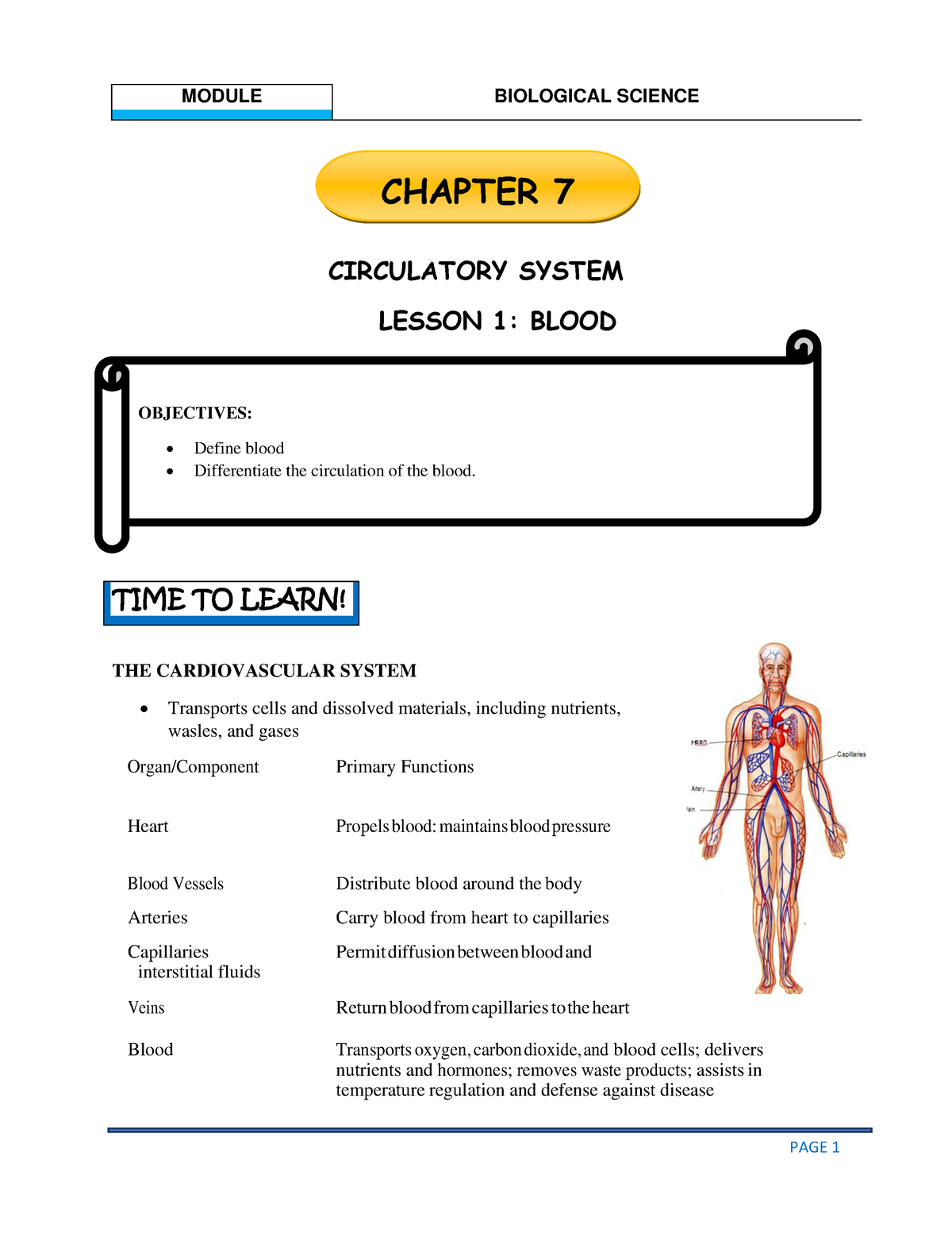 Chapter 7 Circulatory System-converted - CIRCULATORY SYSTEM LESSON 1 ...